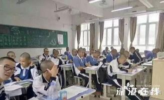 镇宁职校爆料案件最新情况,真相逐步浮出水面