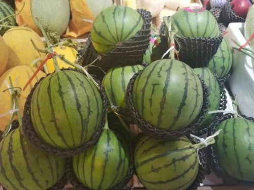 百万网红吃瓜 第3张 百万网红吃瓜 第3张