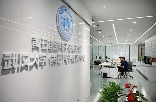 黄石电子厂爆料视频,揭秘工厂真实工作环境与员工心声  第1张