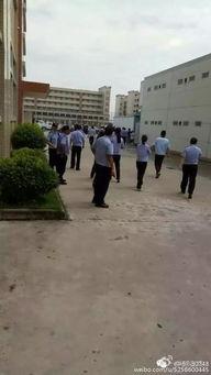 赞皇爆料最新视频,惊人内幕曝光! 第2张 赞皇爆料最新视频,惊人内幕曝光! 第2张